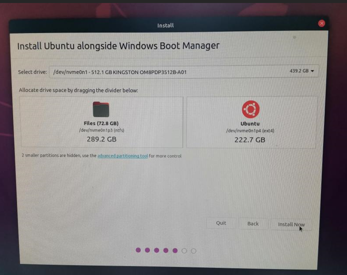 Ubuntuと共存するためにWindowsブートマネージャー（Windows Boot Manager）を選択し、「Continue」をクリックします。