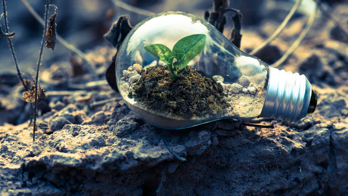 アースアワーへの参加